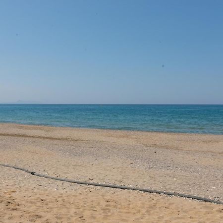 Vasileios Seaview Apartments 普拉坦斯 外观 照片
